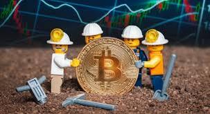 Bitcoin programmers
