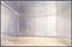 Maple Pet Stains and Odor Removal Richmond Hill Pet Stains Odor Removal Toronto