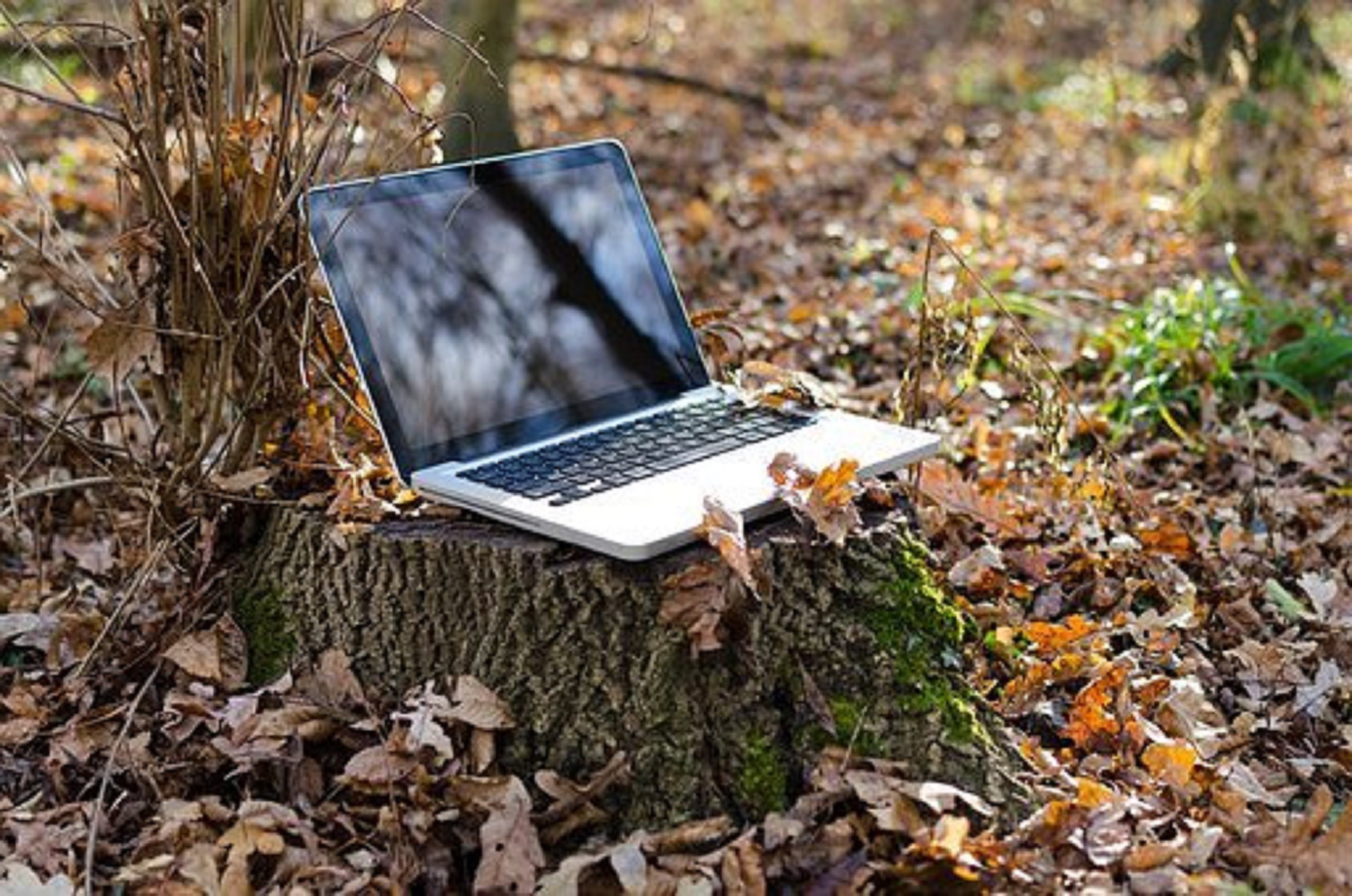 Top No 1 Best Succes ideas in Network Marketing Contacting and Pointing