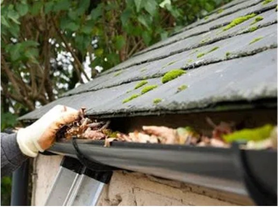 Gutter Cleaning in Auckland