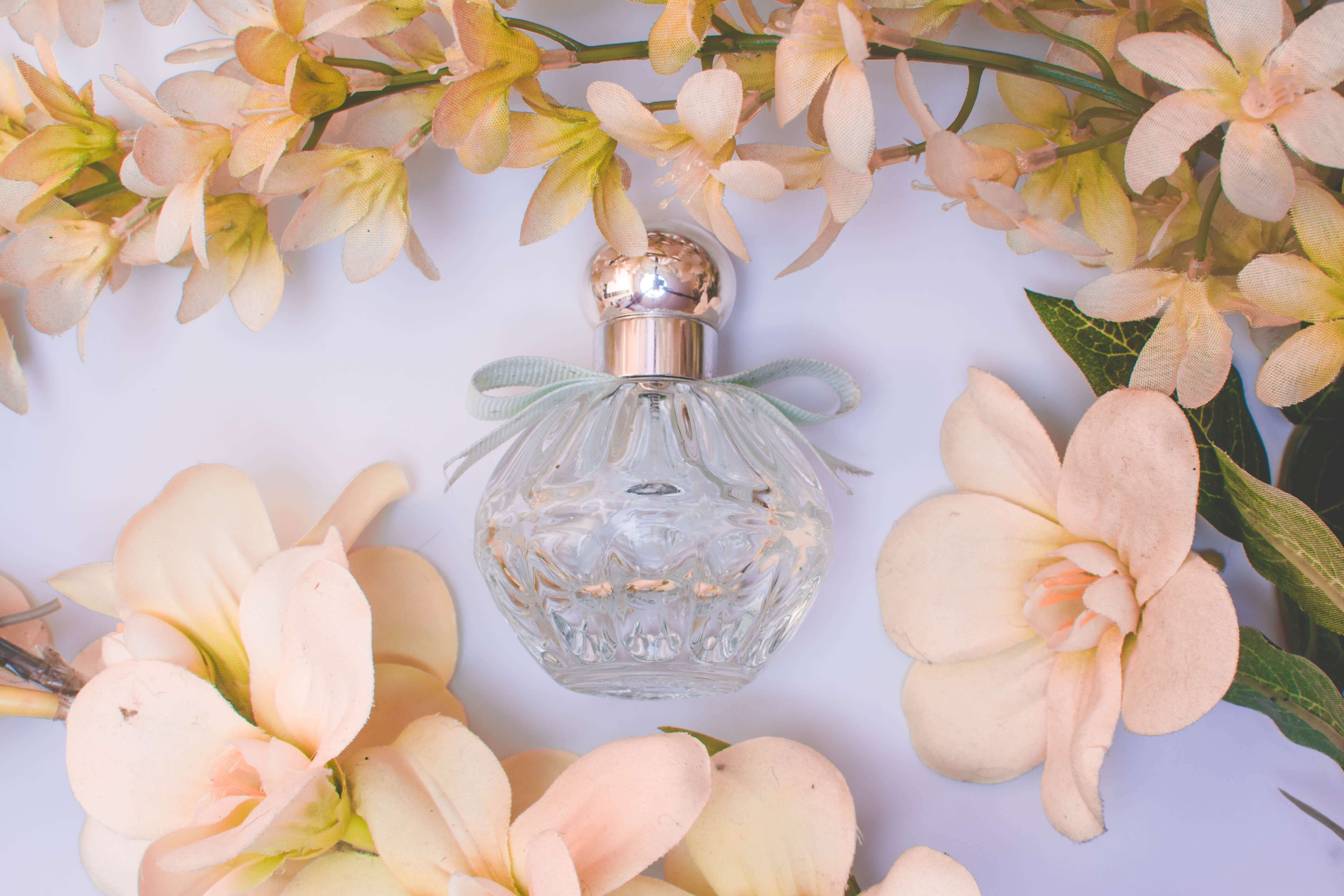Buy Perfumes Online from Best Place