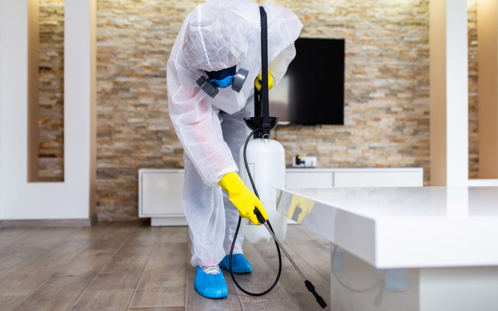 Pest Control in Canton