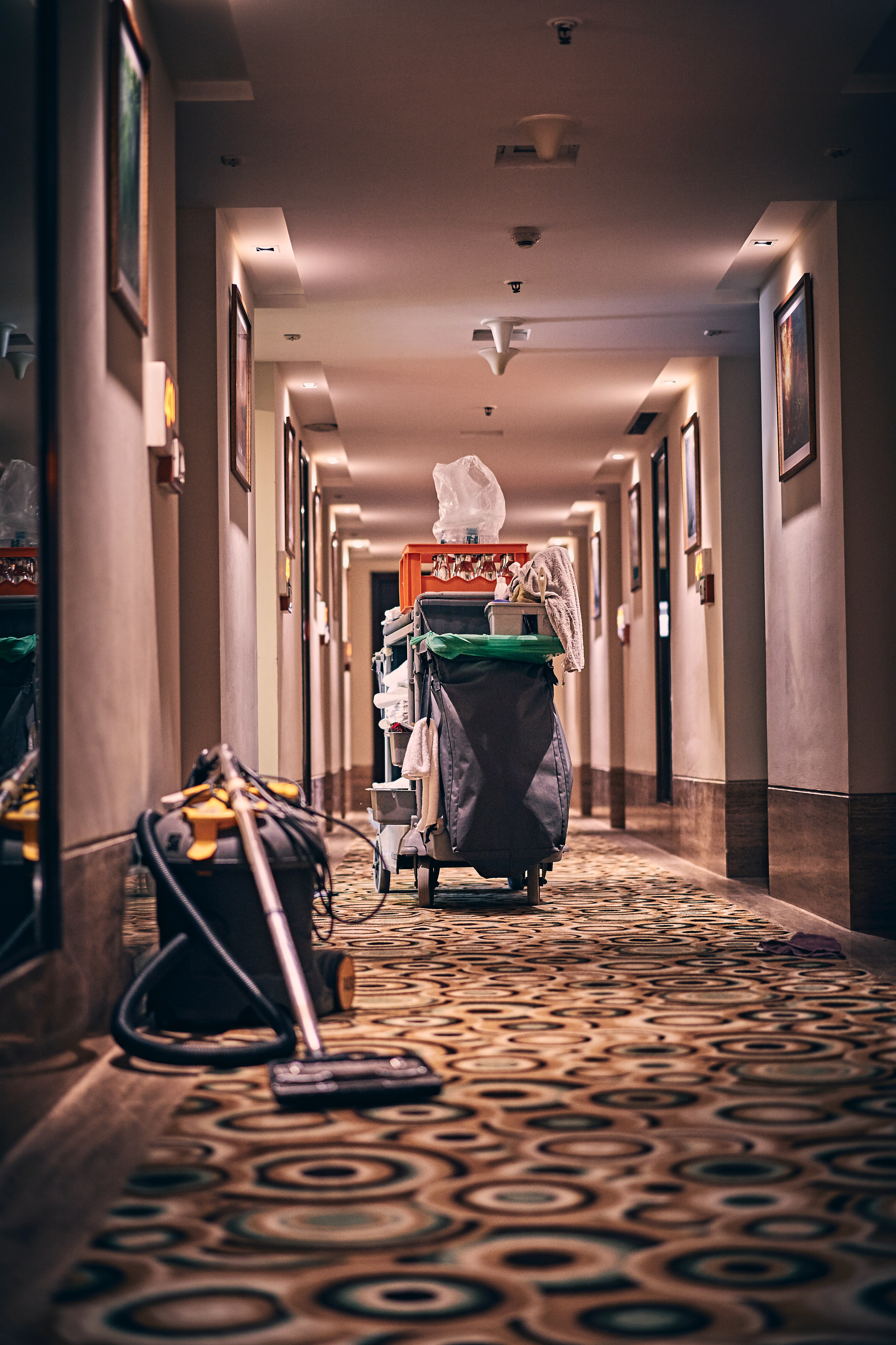 Eco-Friendly Ways for Cleaning Carpet