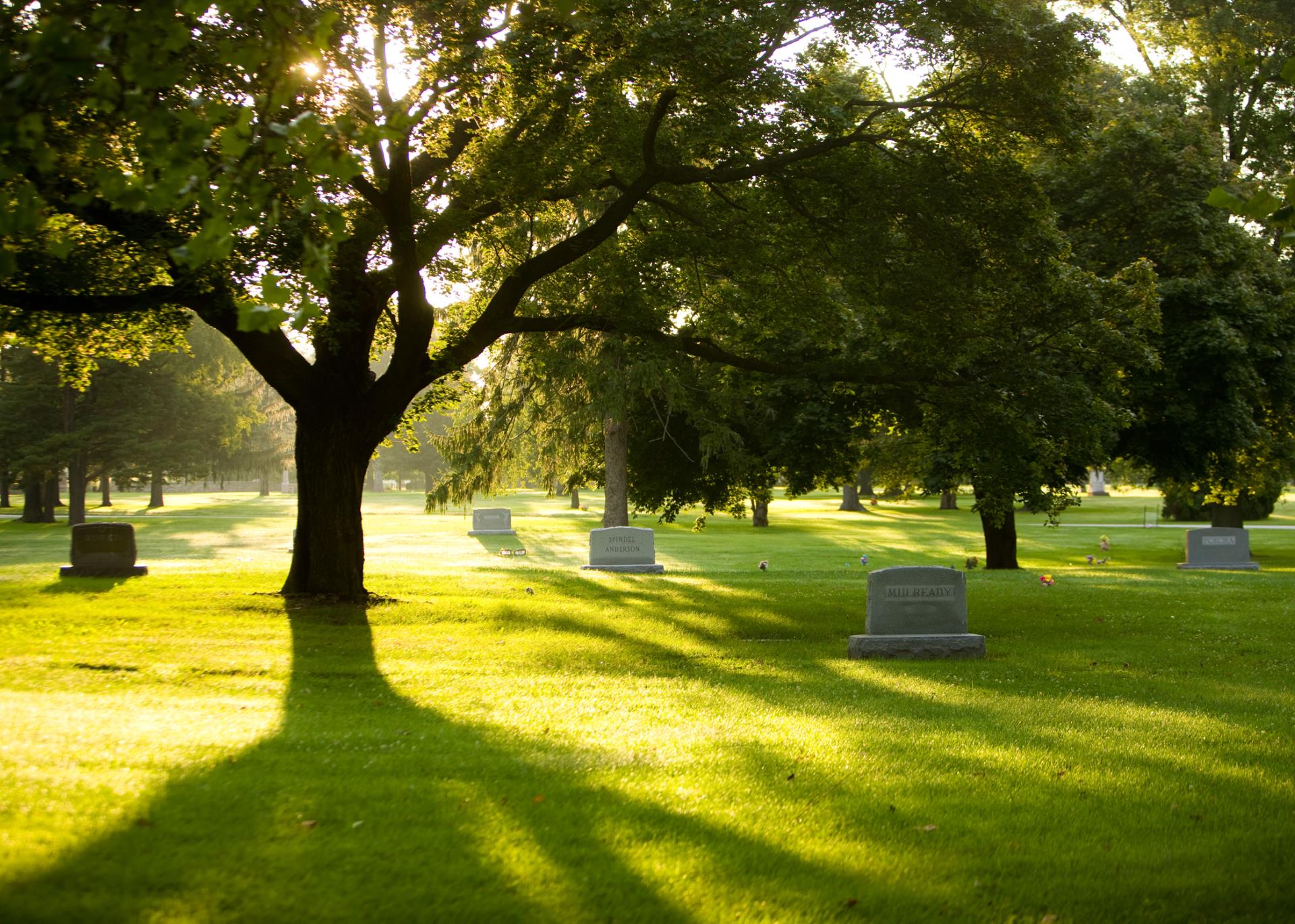 Common Benefits Of Planning A Green Burial In Springfield Ohio