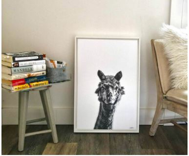 Shop For Canvas Floating  Picture Frames in Sebastopol