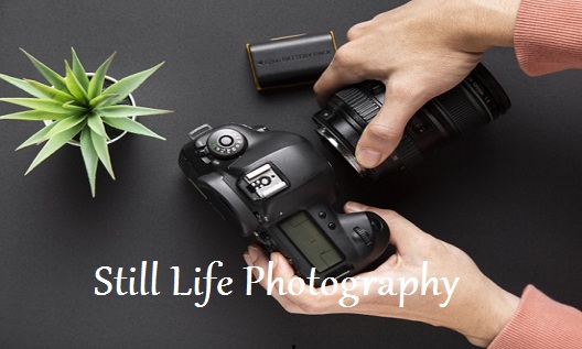 Creative Still Life Photography In Sebastopol