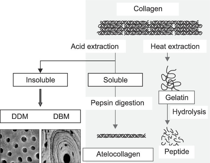 Atelocollagen Market Size, Share, Growth Opportunity & Global Forecast to 2027