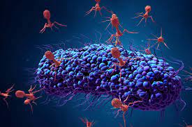 Bacteriophage Therapy Market Demand Analysis, Statistics, Industry Trends And Investment Opportunities To 2027