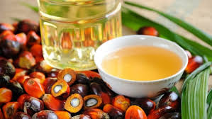 Palm Oil Market 2020 Size, Growth Factors & Forecast Report to 2027