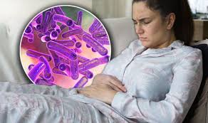 Shigella Infection Treatment Market Size, Growth & Global Forecast Report to 2027