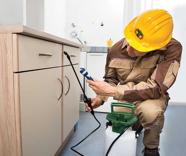 pest control birmingham alabama