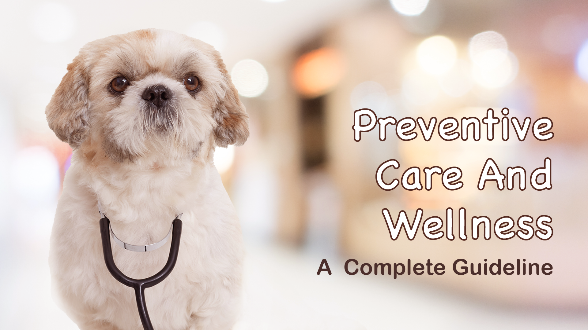 Preventive Healthcare Guidelines for Dogs