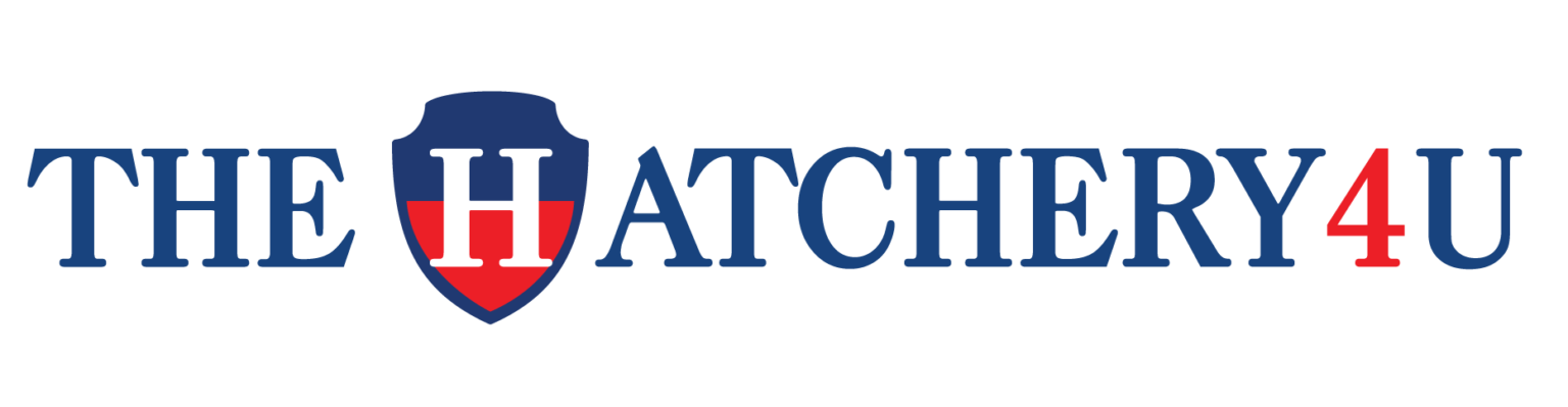 12 Everyday Carry Non-Lethal Weapons for Self-Defense [Be Safe]