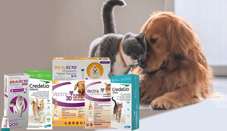 Global Flea and Tick Products Market Substantial Demand Growth Report 2027