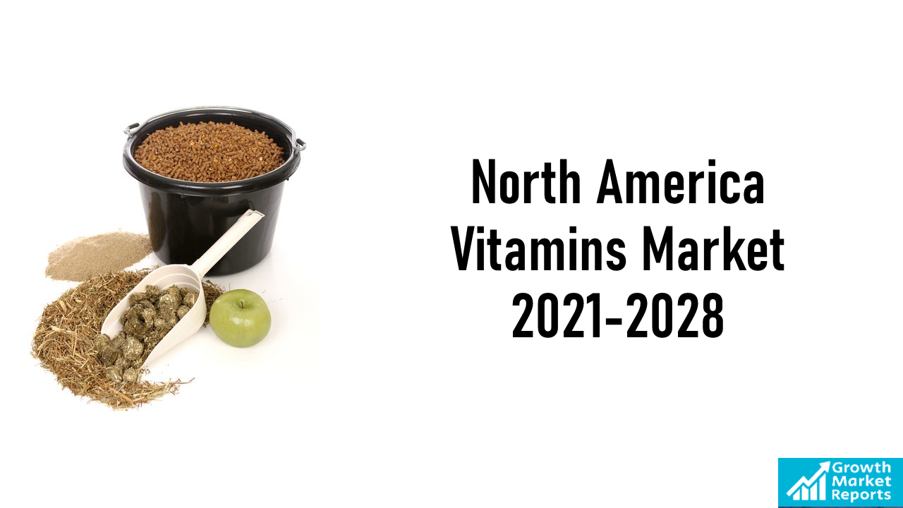 North America Feed Vitamins Market Size and Share Report 2028 | Growth Market Reports