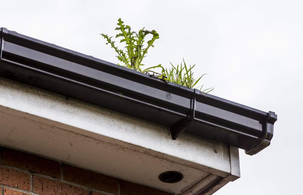 How to Guide to Prevent Water Damage From Blocked Gutters