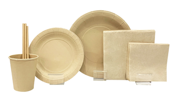 How You Can Start A Business for Paper Plate