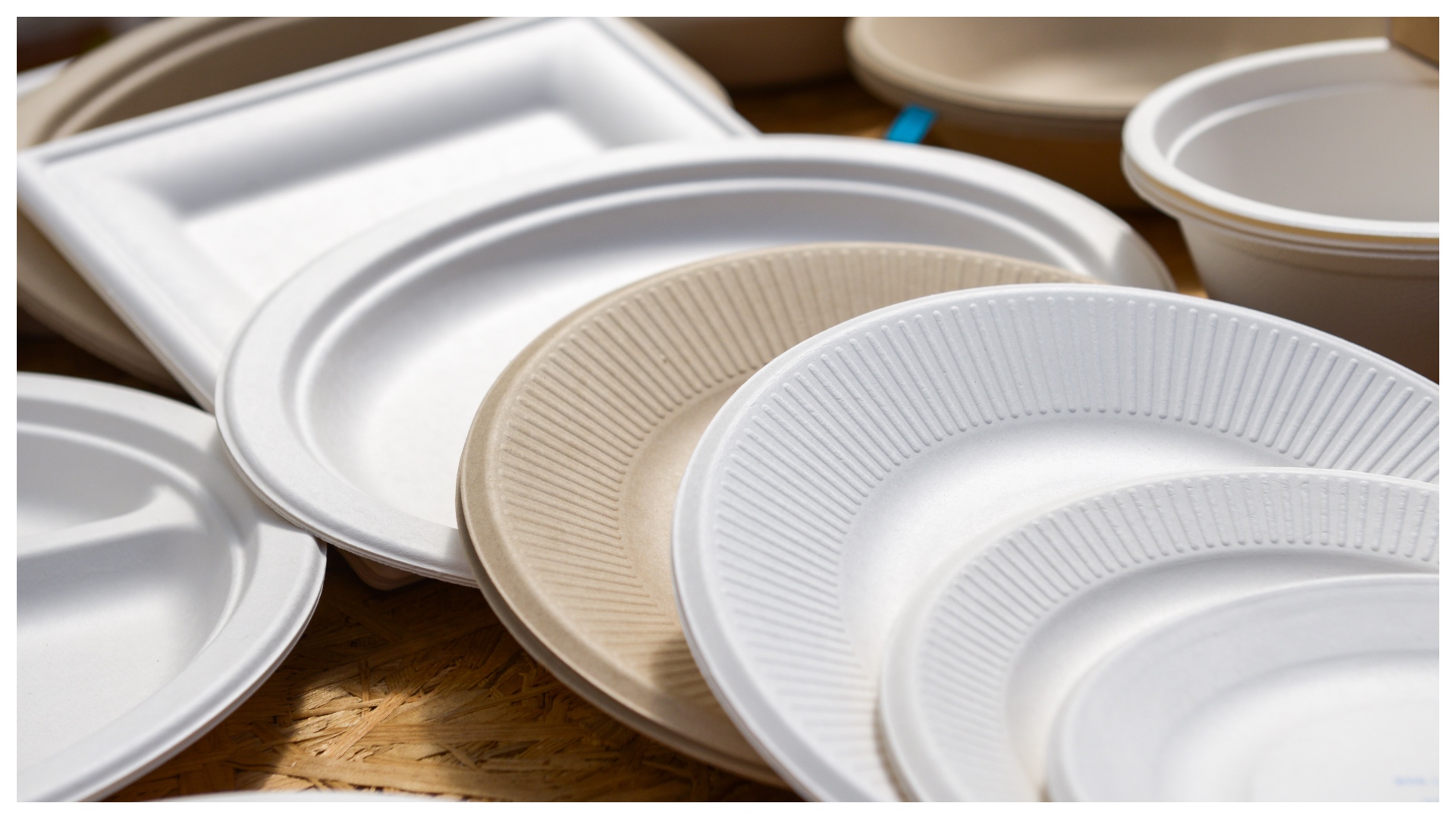 Startup: Profitable Venture by Manufacturing Paper Plates