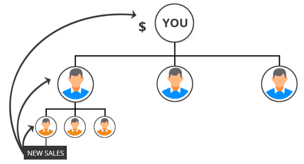 What is Unilevel Matrix Software?