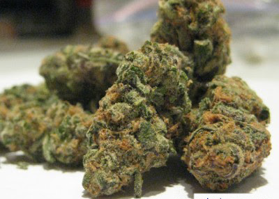 Girl Scout Cookies Strain