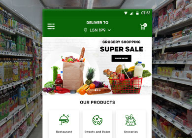 8 Must Have Tips for Online Grocery Shopping Right Now