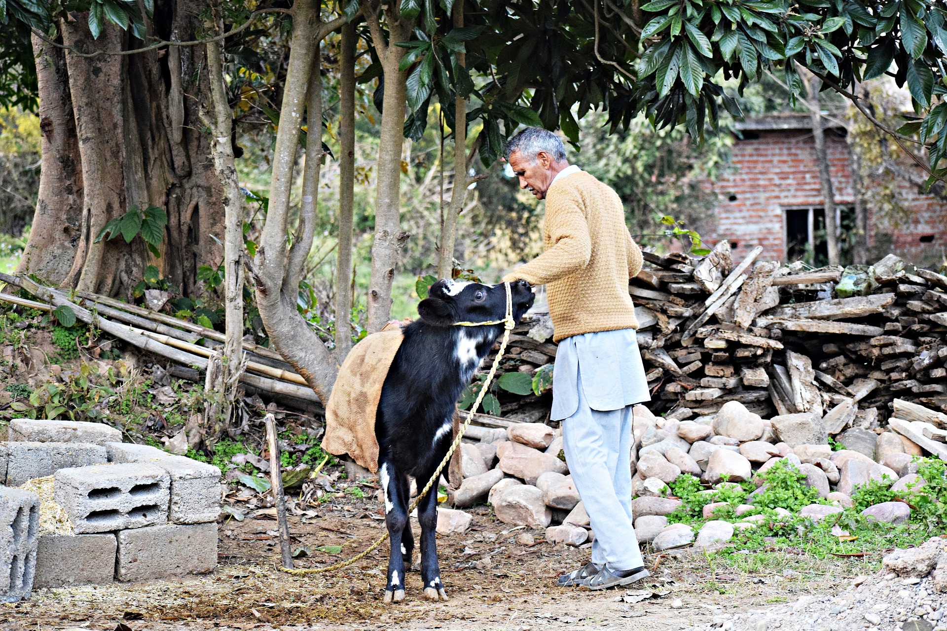 Premiere Manufacturer of Animal Nutrition Products