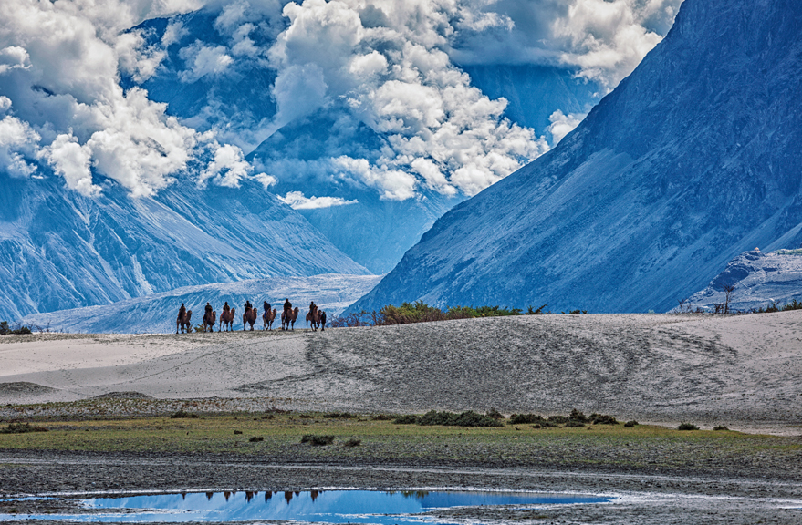 Nubra Valley A Traveller's Paradise