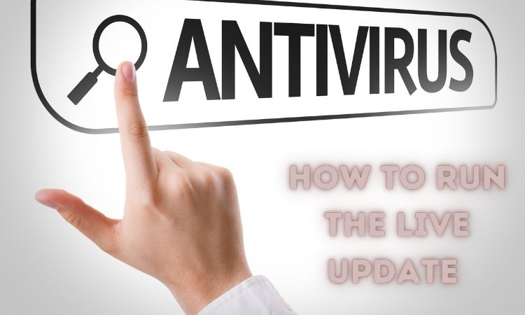 How To Run THE LIVE UPDATE