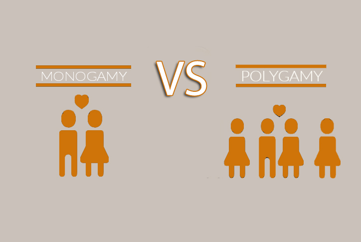 What are monogamy and polygamy?