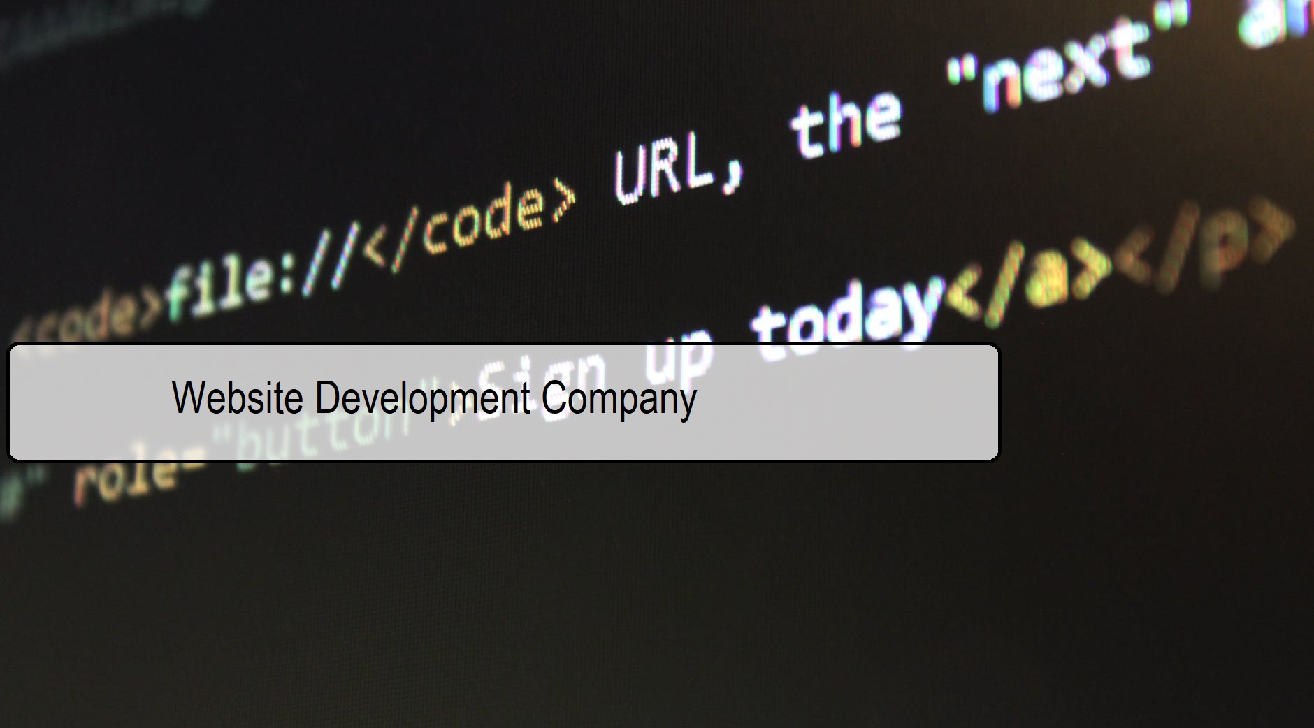 What to look for while hiring a website development company for your business?
