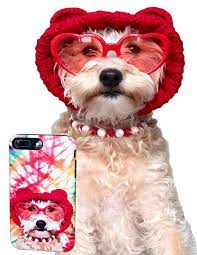 Personalized Dog Wall Art