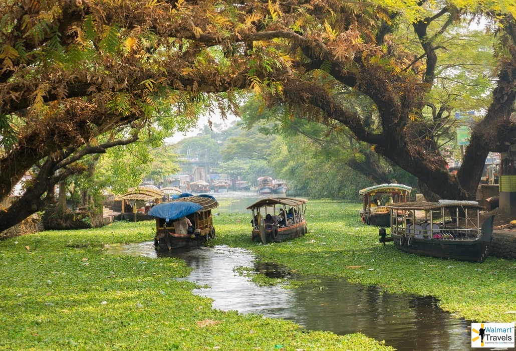 Top 5 Best Places to Visit in Kerala | Walmart Travels