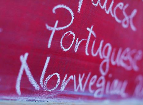 Top-notch and impactful Portuguese Language Translation Services by subject-matter experts