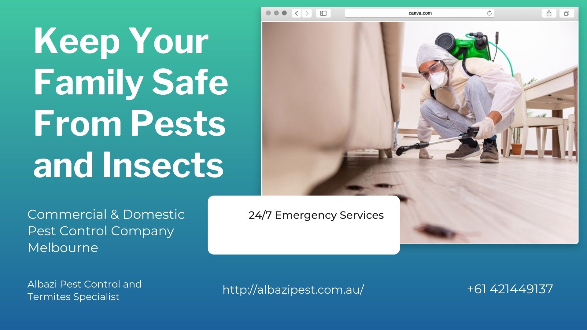 Safe Termite Control Services in Melbourne