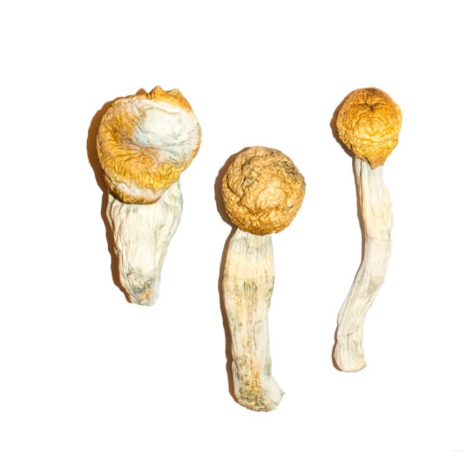 Buy Magic Mushrooms | Buy Magic Mushrooms Center | Shrooms For Sale