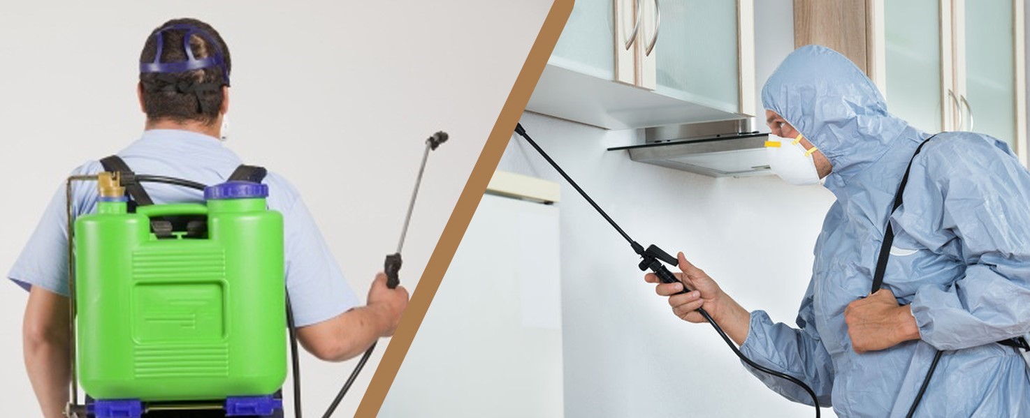 Why Pest Control Is Necessary For Domestic And Commercial Buildings?