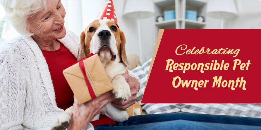 Celebrating Responsible Pet Owner Month