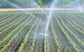 Micro Irrigation Systems Market 2020 Size, Growth Factors & Forecast Report to 2027