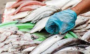 Fish Protein Isolates Market Size, Growth & Global Forecast Report to 2027