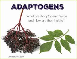 Adaptogens Market Size, Share, Growth Opportunity & Global Forecast to 2027
