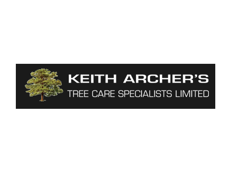 Tree Surgeons Dulwich