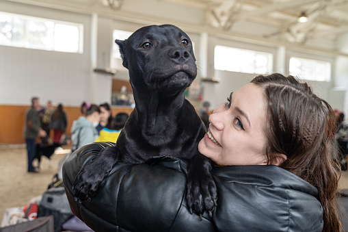 Preperations For Your New Upcoming Puppy