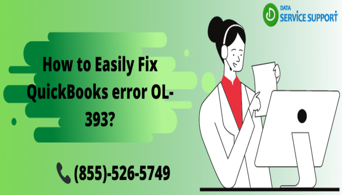 How to rectify QuickBooks error OL-393