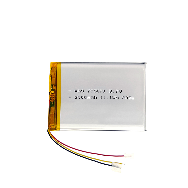 LiFePO4 Batteries For Material Handling Industry