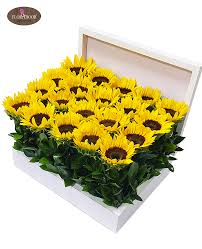 Egyptian Gifts Online for All Occasions and Delivery in Secure Way