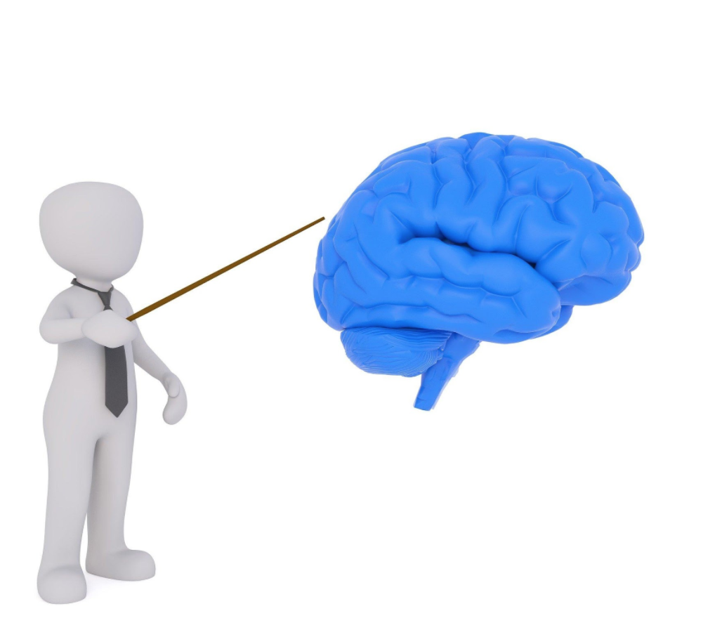 5 Tips How to Study Well: Guide for Biology Students