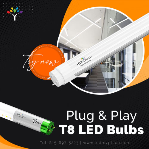 Plug & Play T8 LED Bulbs at Cheap Price