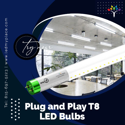 Order Now Plug and Play T8 LED Bulbs at Low Price
