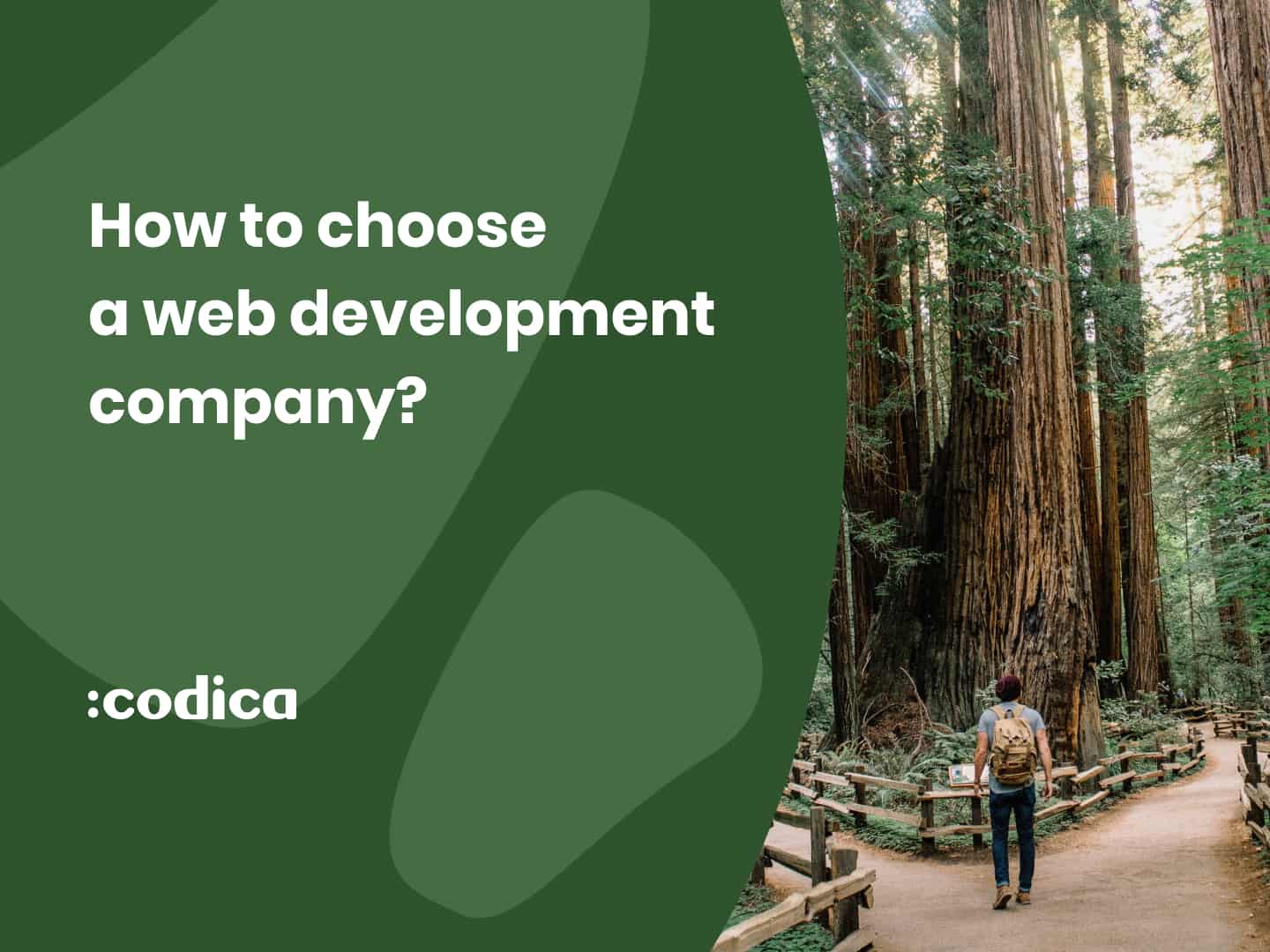 What Web Development Company to Choose in 2022?