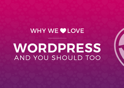 9 Reasons Why We Love WordPress For Website Development